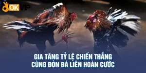 Gia tăng tỷ lệ chiến thắng cùng đòn đá liên hoàn cước